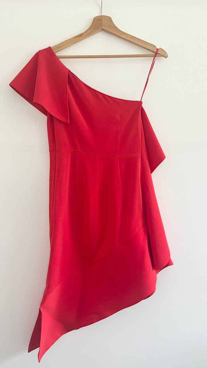 Back of the Pinko red dress